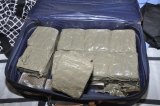 £50,000 of cannabis found in a suitcase
